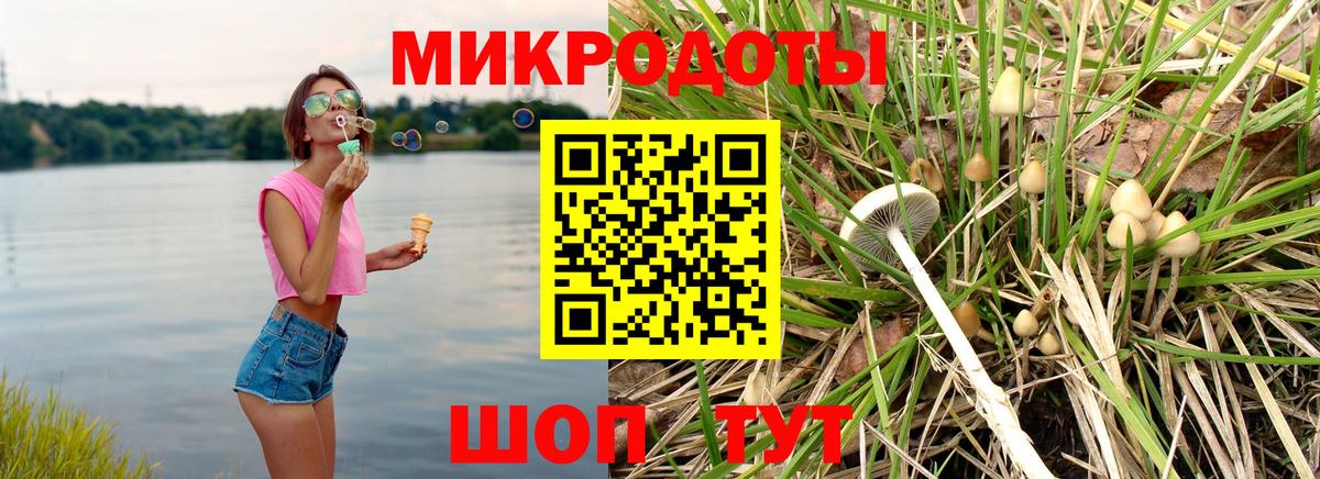 Галлюциногенные грибы Psilocybine cubensis Рузаевка